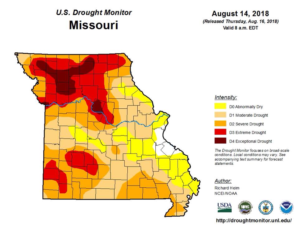 Drought Conditions In Missouri Dry Up Corn and Shorten Hay Supply – KXEO