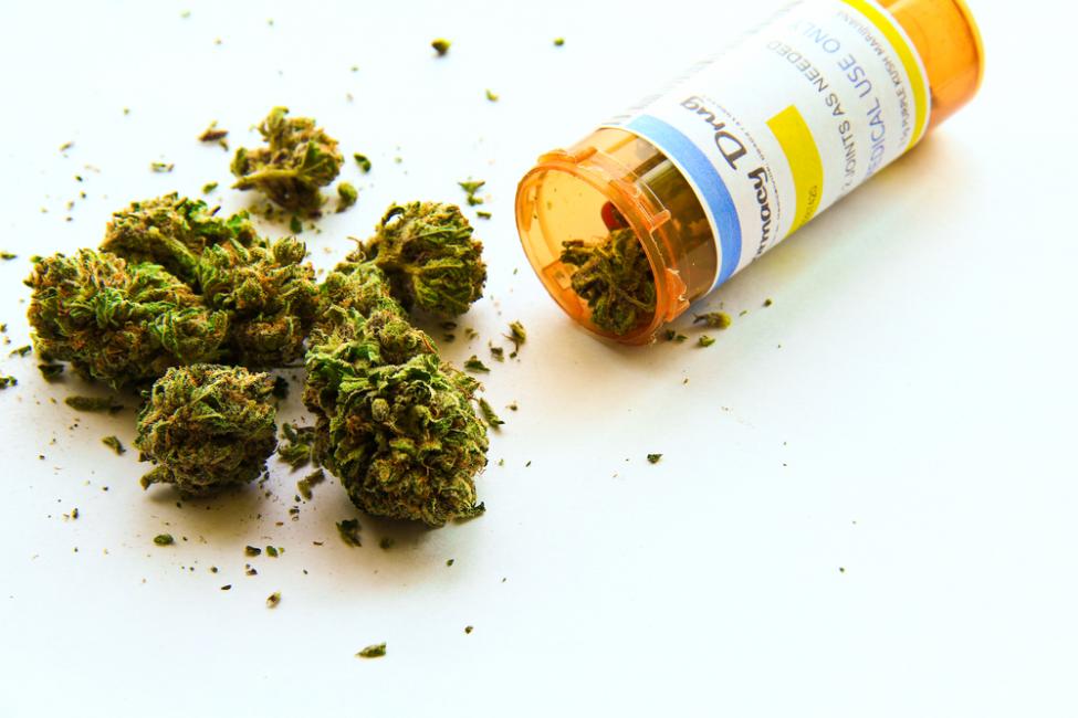 Mexico Will Have At Least One Medical Marijuana Dispensary