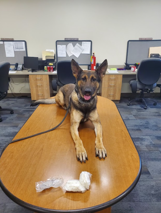 Fentanyl And Crack Cocaine Found In Callaway County Traffic Stop