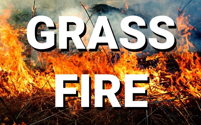 Mexico Authorities Respond to Natural Cover Fire on 4th of July
